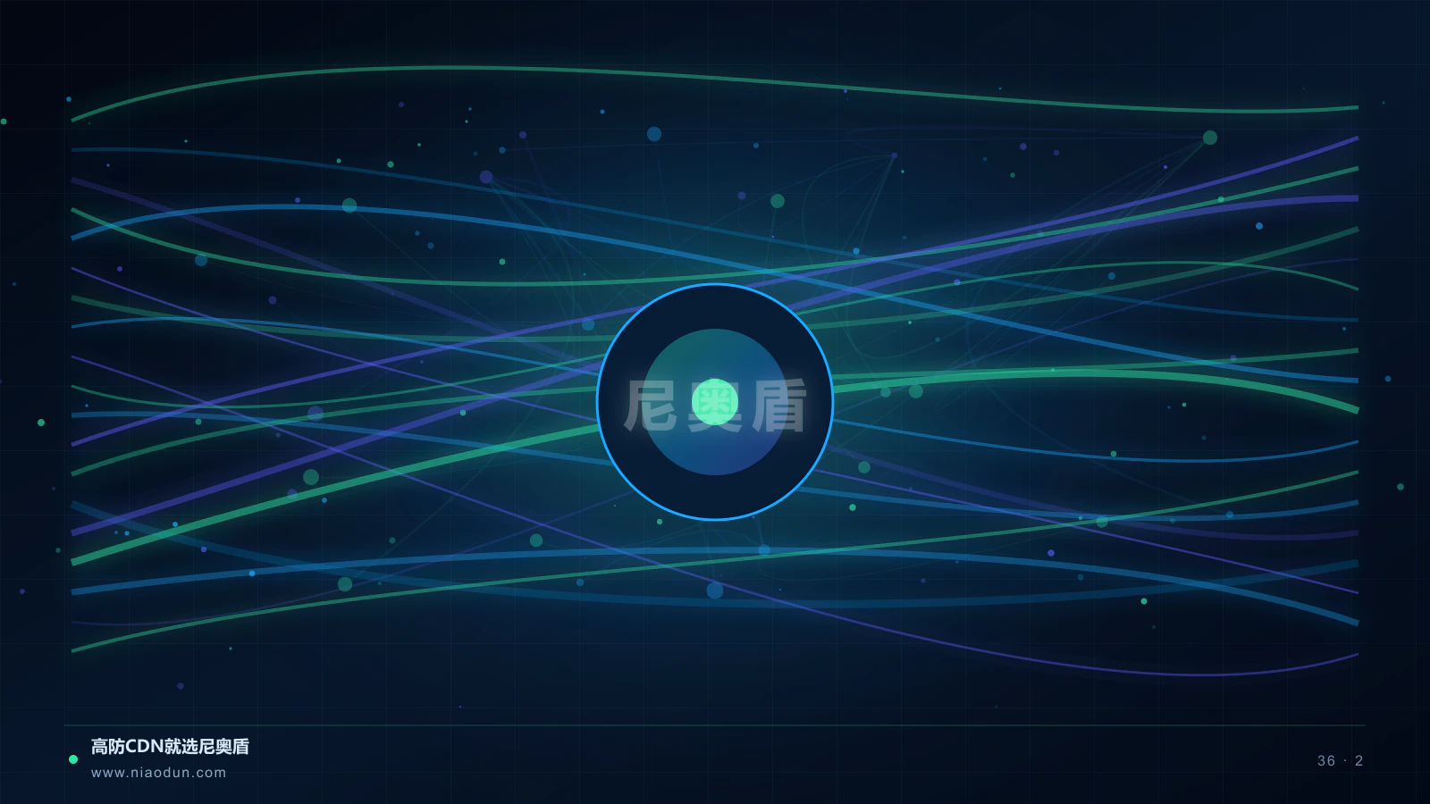 防DDoS攻击中的DNS风险协议识别与防护节点场景图