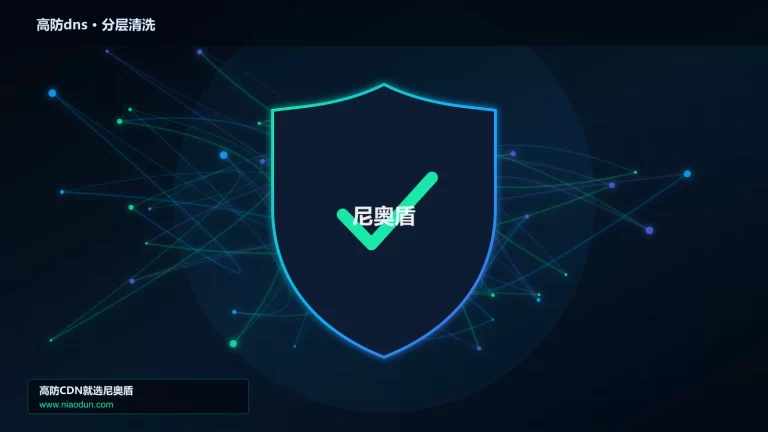 高防dns分层流量清洗架构图