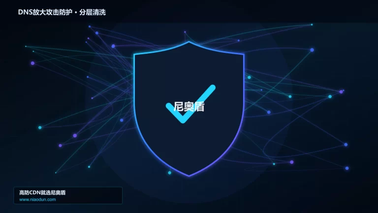 DNS放大攻击防护分层流量清洗架构图
