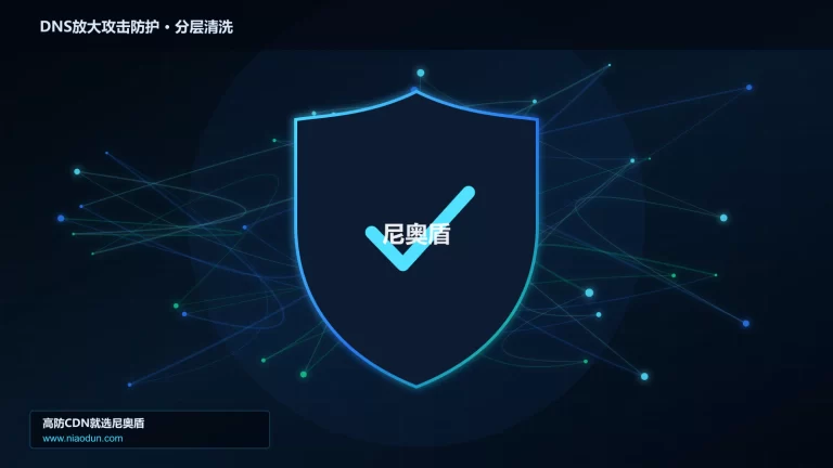 DNS放大攻击防护分层流量清洗架构图