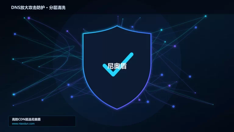 DNS放大攻击防护分层流量清洗架构图