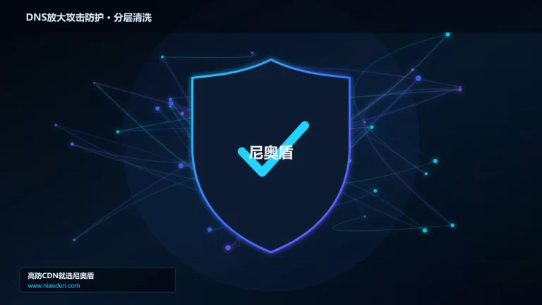 DNS放大攻击防护分层流量清洗架构图