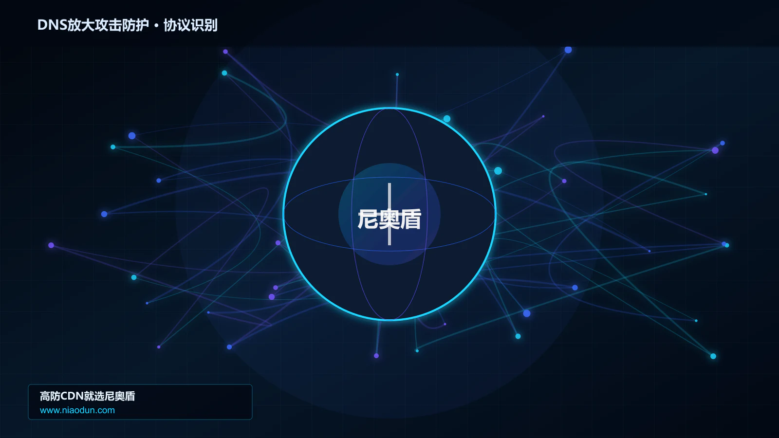 DNS放大攻击防护协议识别与节点防护图