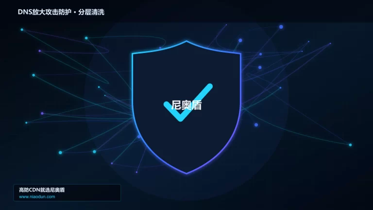 DNS放大攻击防护分层流量清洗架构图