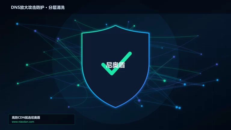 DNS放大攻击防护分层流量清洗架构图