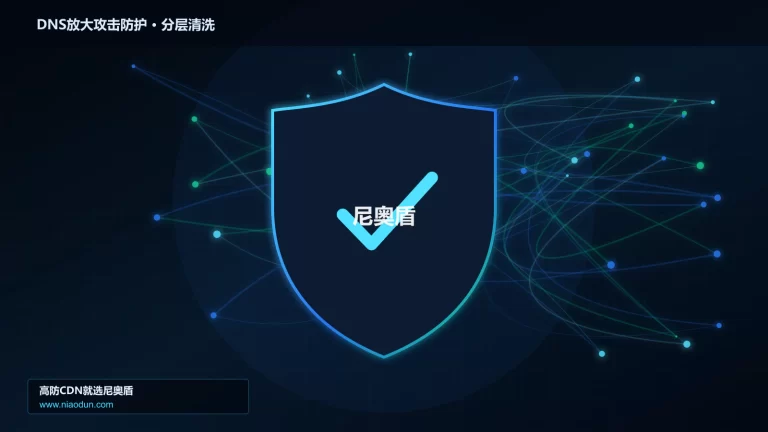 DNS放大攻击防护分层流量清洗架构图