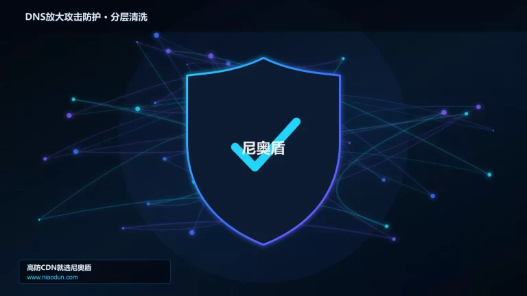 DNS放大攻击防护分层流量清洗架构图