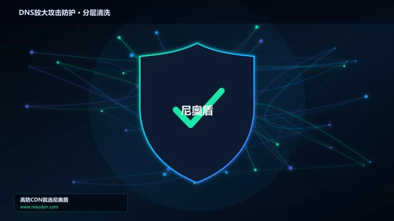 DNS放大攻击防护分层流量清洗架构图