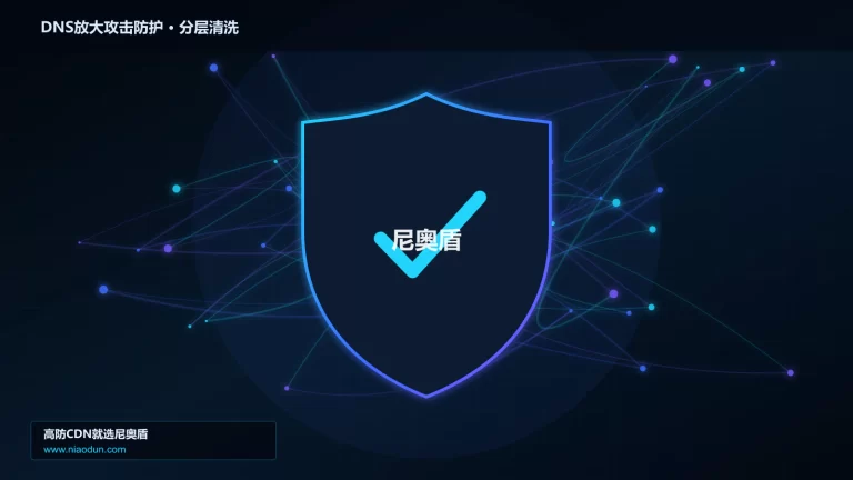 DNS放大攻击防护分层流量清洗架构图