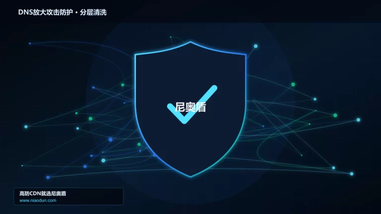 DNS放大攻击防护分层流量清洗架构图