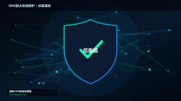 DNS放大攻击防护分层流量清洗架构图