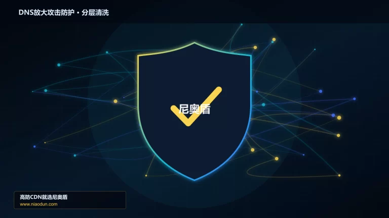 DNS放大攻击防护分层流量清洗架构图