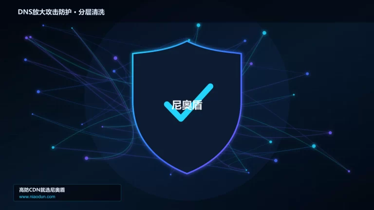 DNS放大攻击防护分层流量清洗架构图