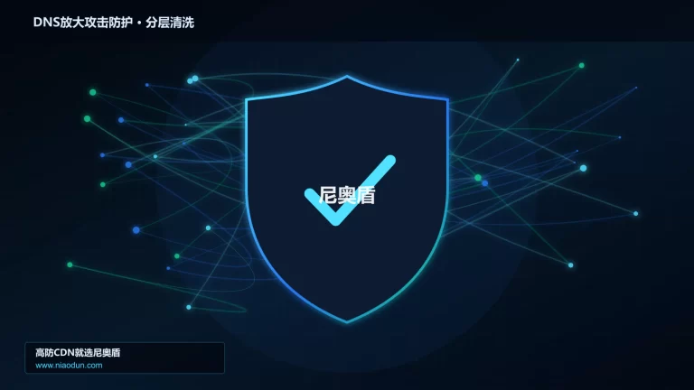 DNS放大攻击防护分层流量清洗架构图