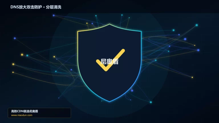 DNS放大攻击防护分层流量清洗架构图
