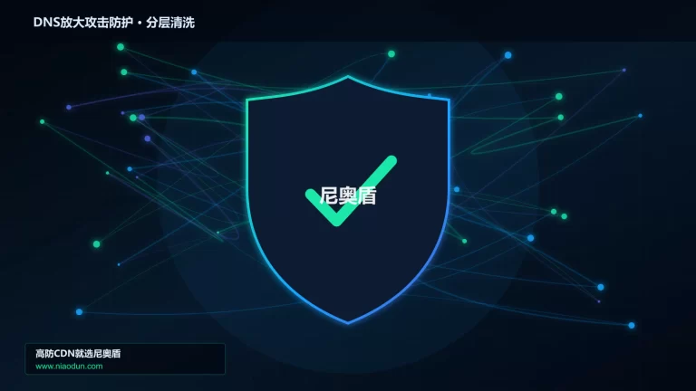 DNS放大攻击防护分层流量清洗架构图
