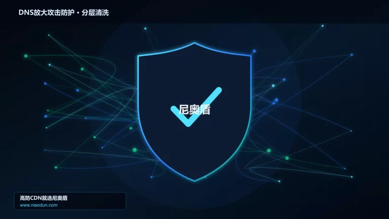 DNS放大攻击防护分层流量清洗架构图