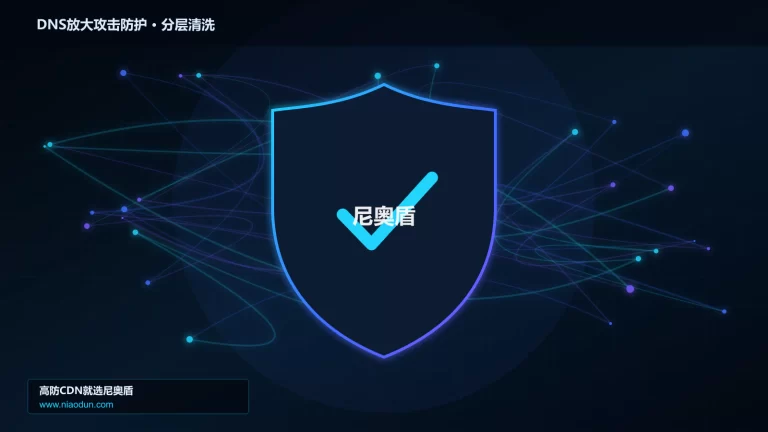 DNS放大攻击防护分层流量清洗架构图