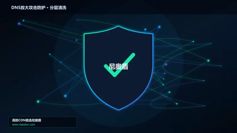 DNS放大攻击防护分层流量清洗架构图