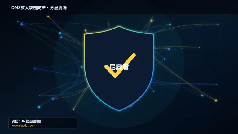 DNS放大攻击防护分层流量清洗架构图