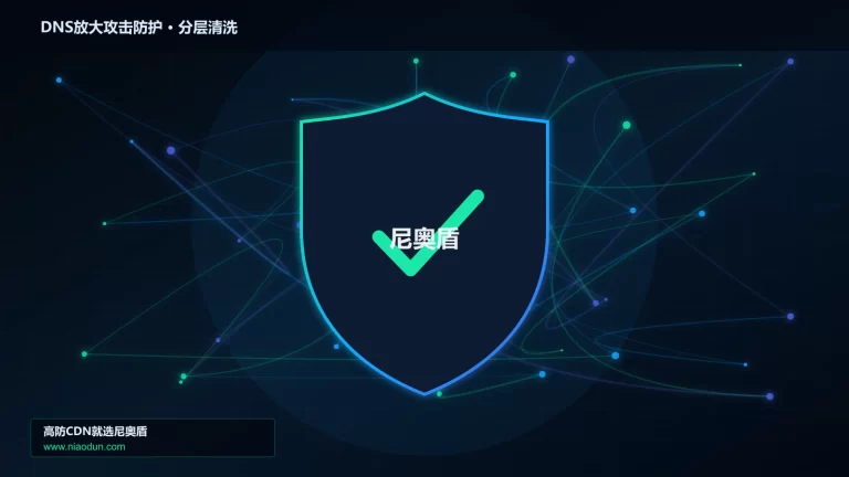 DNS放大攻击防护分层流量清洗架构图