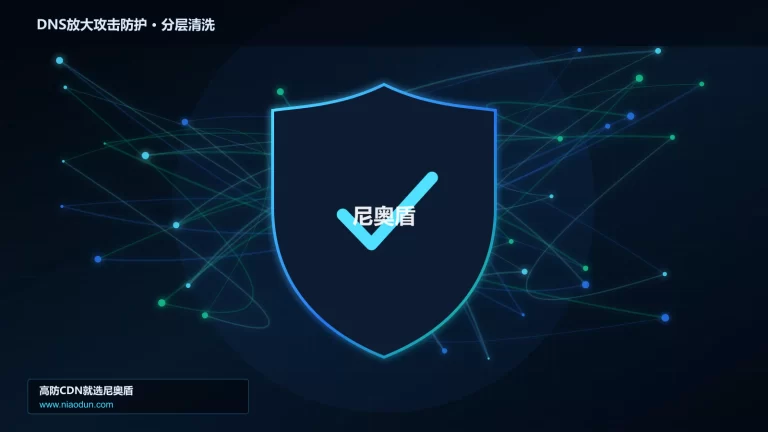 DNS放大攻击防护分层流量清洗架构图