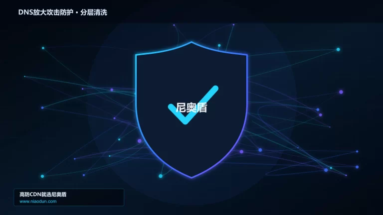 DNS放大攻击防护分层流量清洗架构图