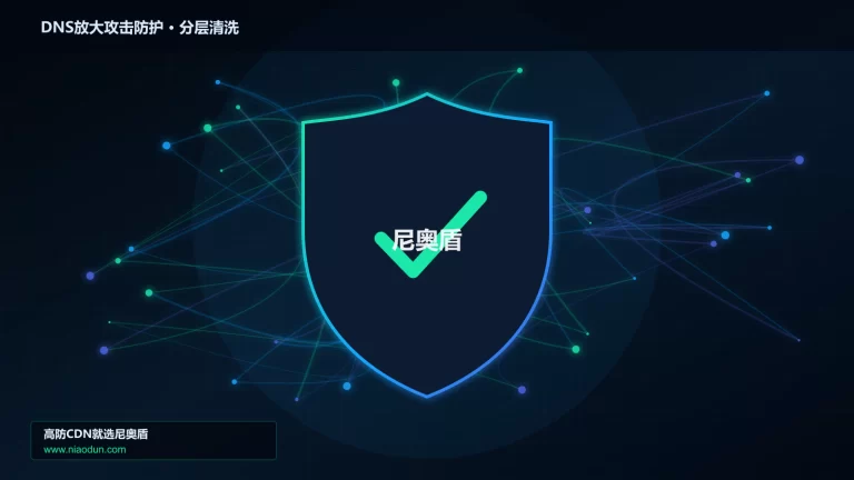 DNS放大攻击防护分层流量清洗架构图