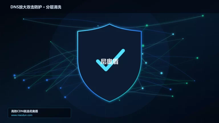 DNS放大攻击防护分层流量清洗架构图