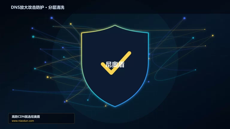 DNS放大攻击防护分层流量清洗架构图