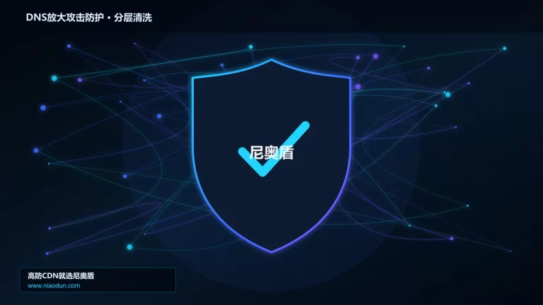 DNS放大攻击防护分层流量清洗架构图