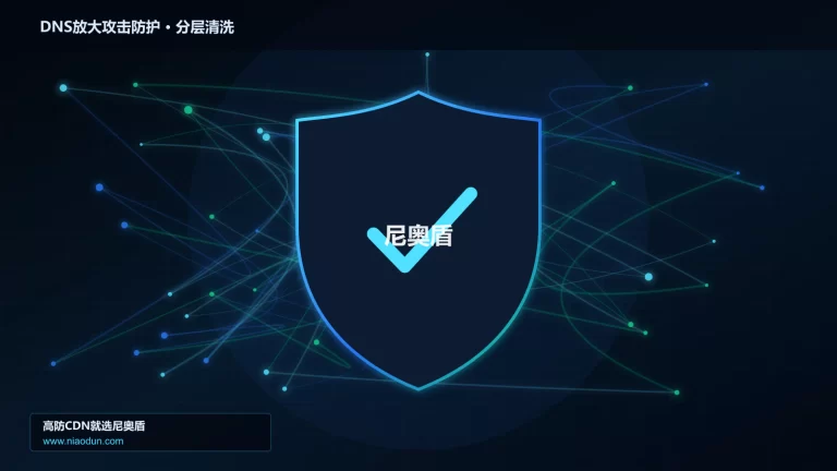 DNS放大攻击防护分层流量清洗架构图