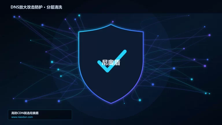 DNS放大攻击防护分层流量清洗架构图