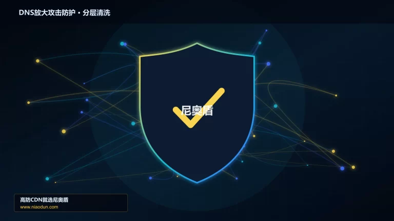 DNS放大攻击防护分层流量清洗架构图