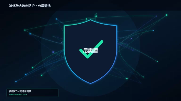 DNS放大攻击防护分层流量清洗架构图
