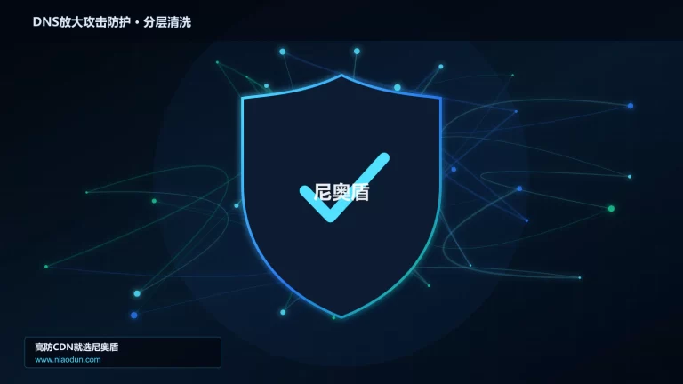DNS放大攻击防护分层流量清洗架构图