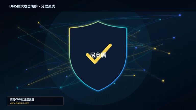DNS放大攻击防护分层流量清洗架构图