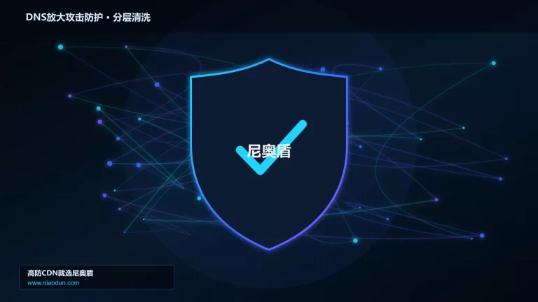 DNS放大攻击防护分层流量清洗架构图