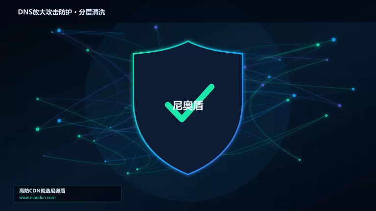 DNS放大攻击防护分层流量清洗架构图
