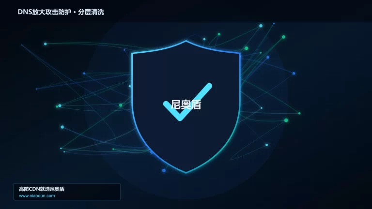 DNS放大攻击防护分层流量清洗架构图