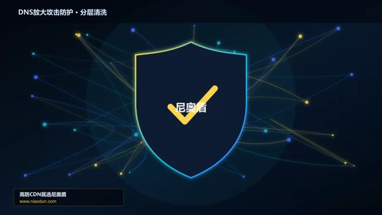 DNS放大攻击防护分层流量清洗架构图