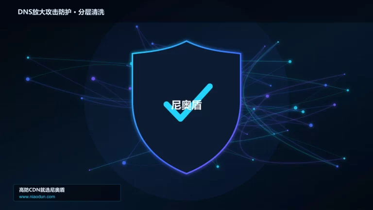 DNS放大攻击防护分层流量清洗架构图