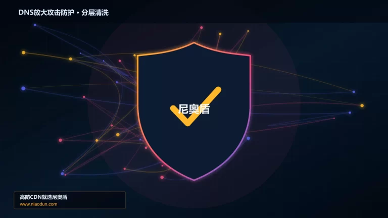 DNS放大攻击防护分层流量清洗架构图