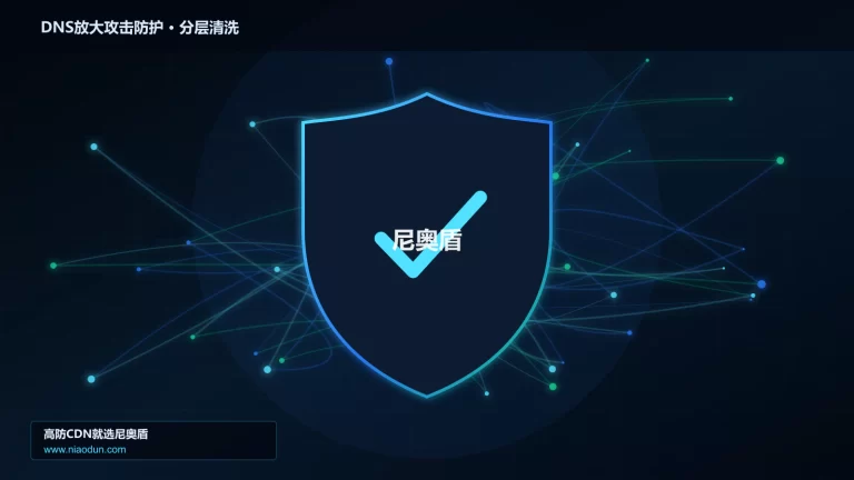 DNS放大攻击防护分层流量清洗架构图