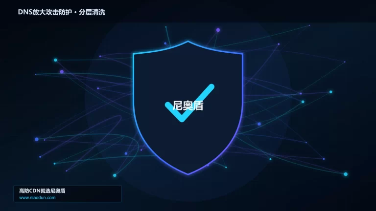 DNS放大攻击防护分层流量清洗架构图