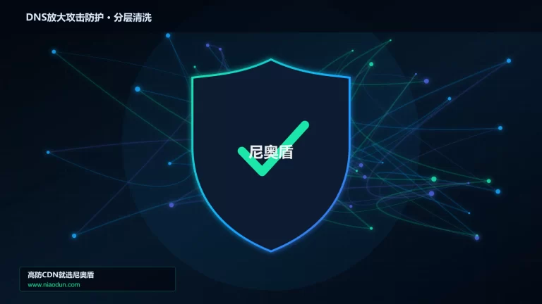 DNS放大攻击防护分层流量清洗架构图