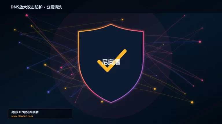 DNS放大攻击防护分层流量清洗架构图