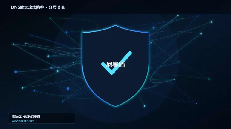 DNS放大攻击防护分层流量清洗架构图