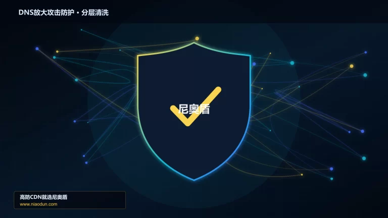 DNS放大攻击防护分层流量清洗架构图