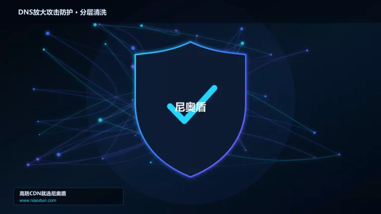 DNS放大攻击防护分层流量清洗架构图